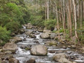 River in Boquete – Best Places In The World To Retire – International Living